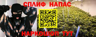 МДПВ Будённовск