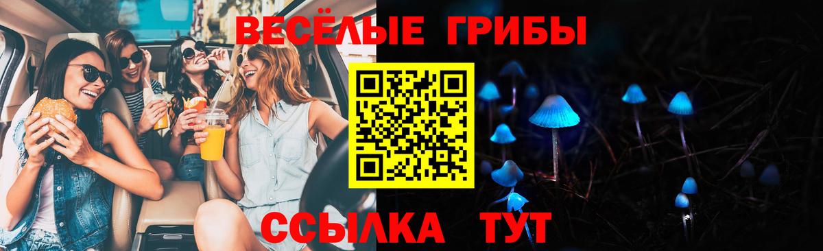 Рыбинск  закладки  Вход с VPN  Псилоцибиновые грибы Psilocybine cubensis 